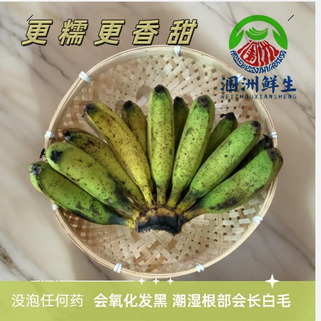 广西涠洲岛火山土壤无科技老树丑香蕉(涠洲鲜生)(3一10天熟)