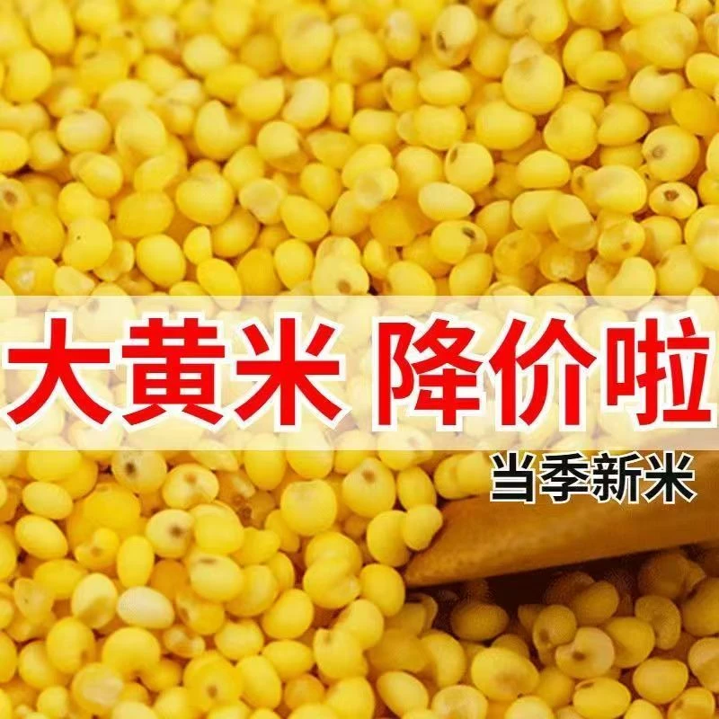 【到手五斤大黄米】东北农家自产新鲜大黄米煮粥五谷杂粮