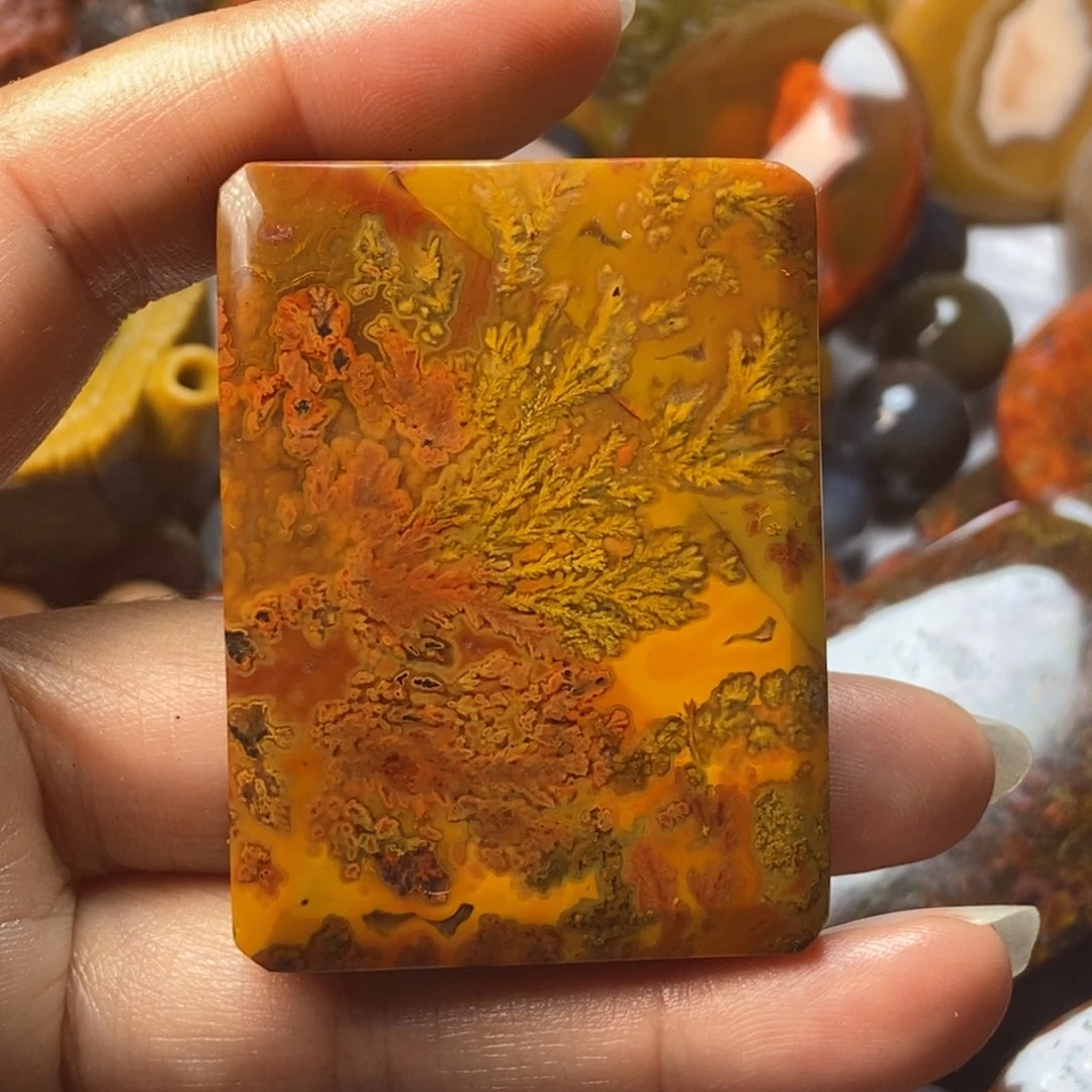 玛瑙/玉髓颈饰未镶嵌小***菜战国红