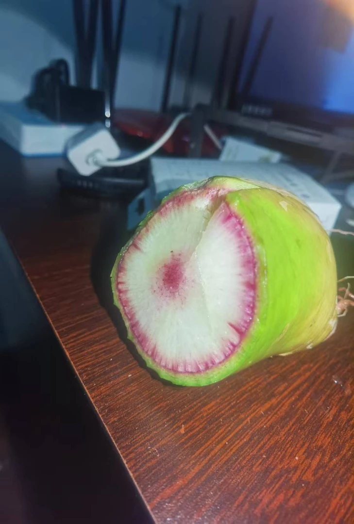 5号三色甜心萝卜包甜脆爽 0卡低脂易咀嚼清甜可口适用人群多