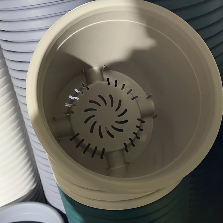 四季5号灰白无托6个特价微瑕