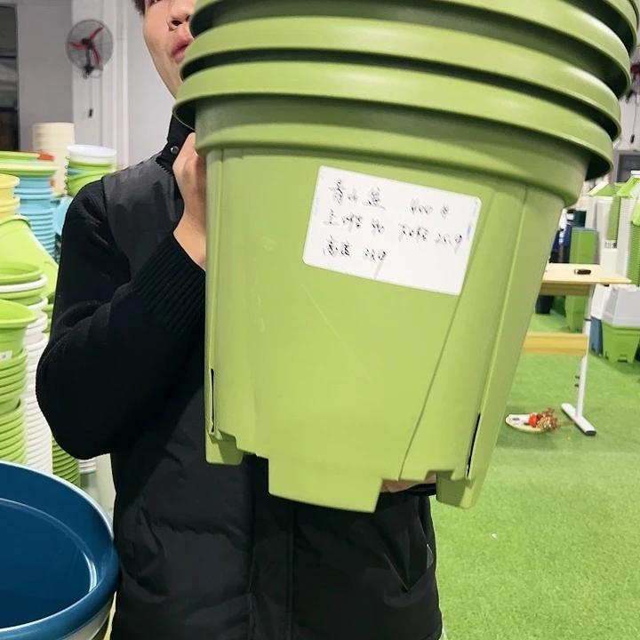 清仓青山口40高34果绿色5只无托