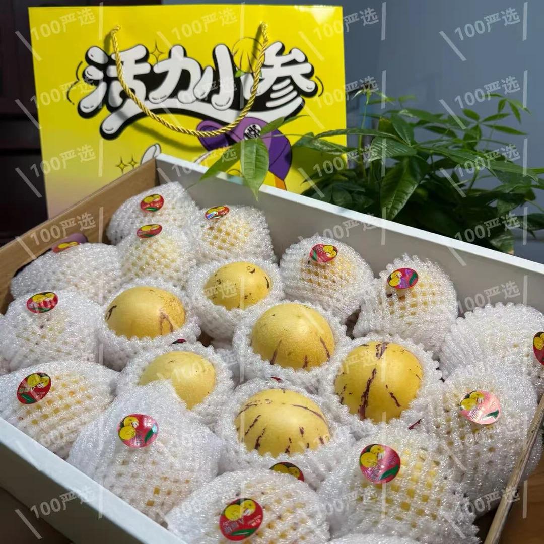 【顺丰礼盒】甄选当季树熟人参果甜脆多汁礼盒毛5斤左右（仅发南京）