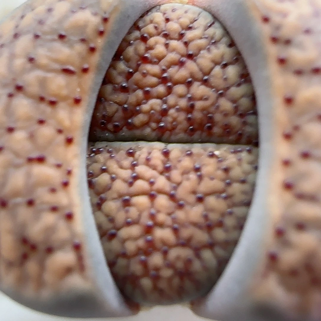 195福利福利福利