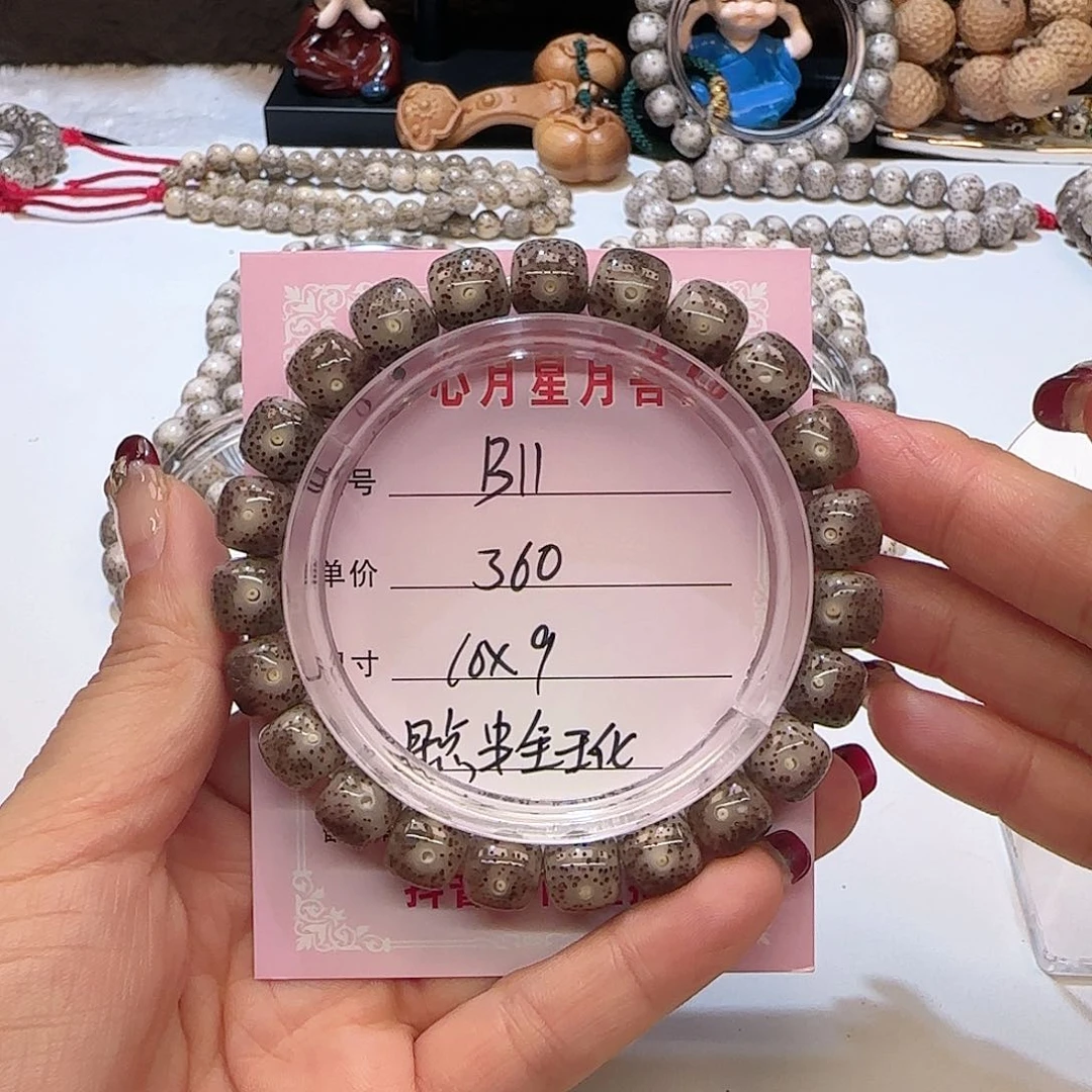 心月星月菩提一号B11