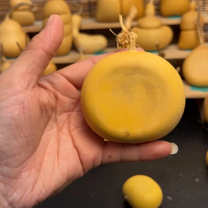 ʚ**葫芦葫芦葫芦葫芦葫芦葫芦