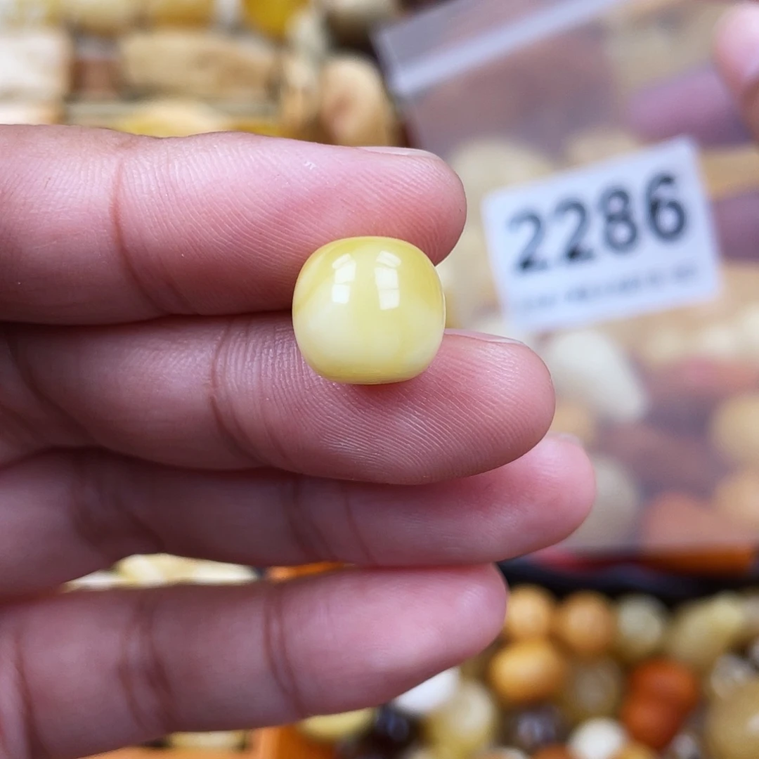 未镶嵌蜜蜡珠宝奇石11.6