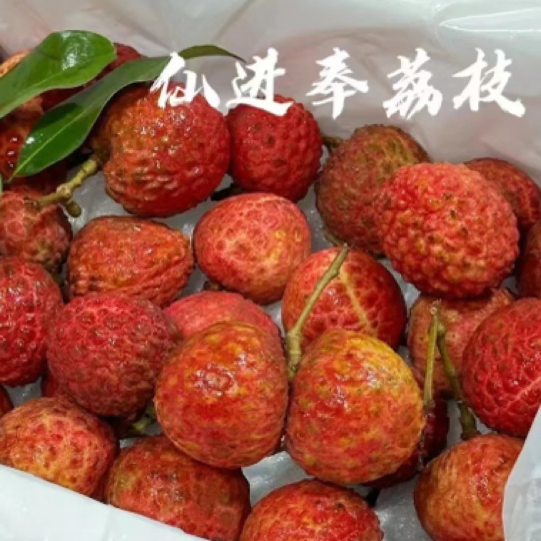 【军哥严选】新鲜广东仙进奉荔枝
