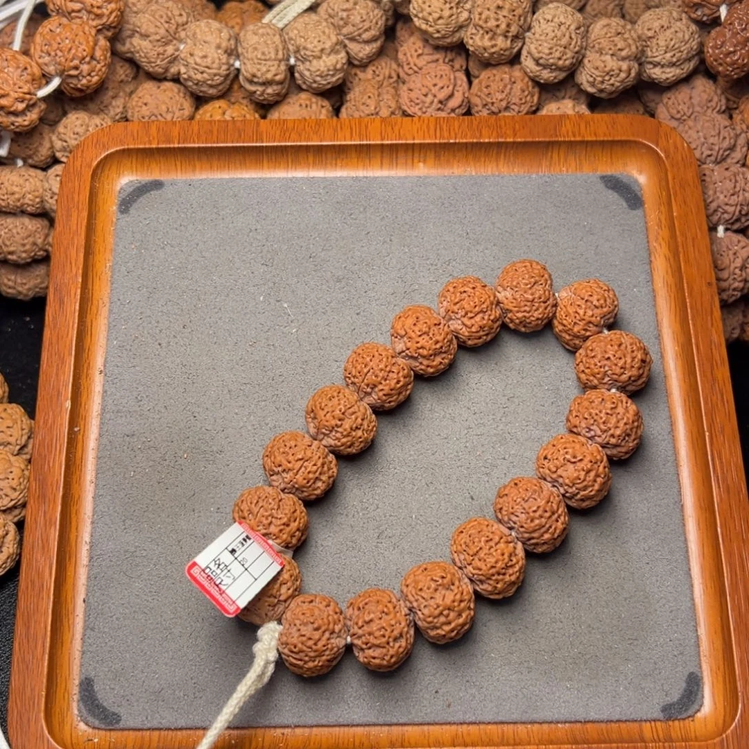 6号尼泊尔大金刚20五星蜂王菠萝蜜