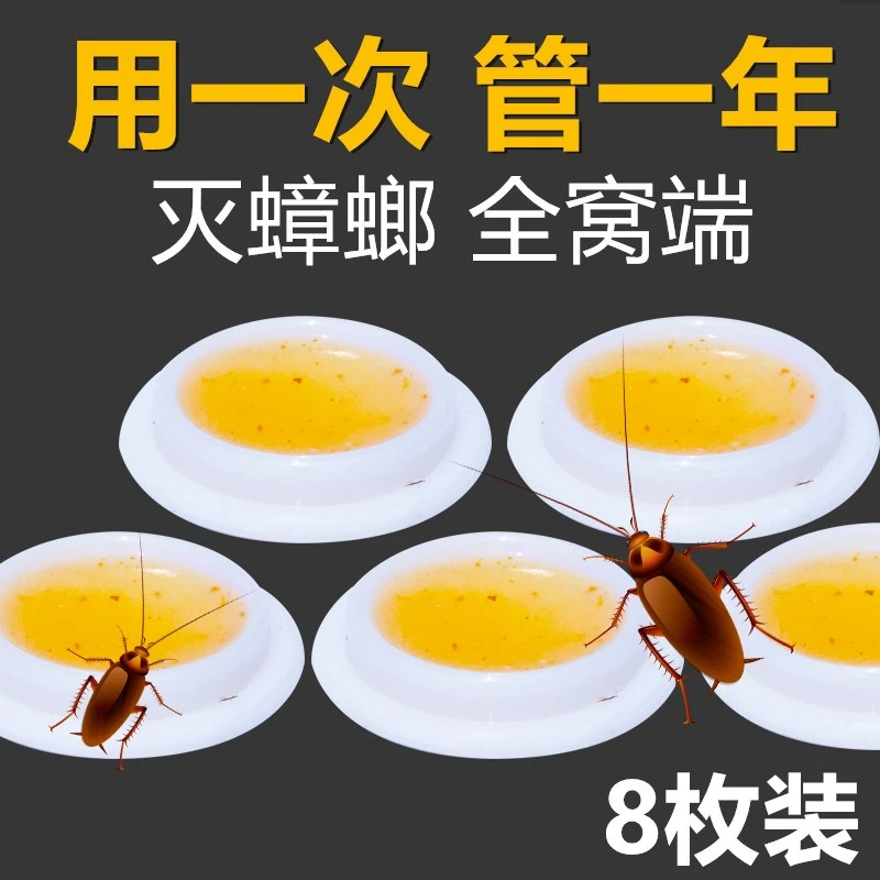（蟑螂蚂蚁通用）杀蟑饵剂杀虫饵剂蟑螂药一窝端家用灭蟑神器出租房