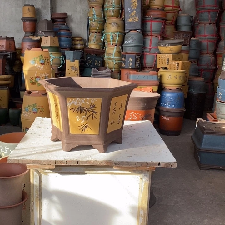 紫砂花盆盆栽花卉苗木种植