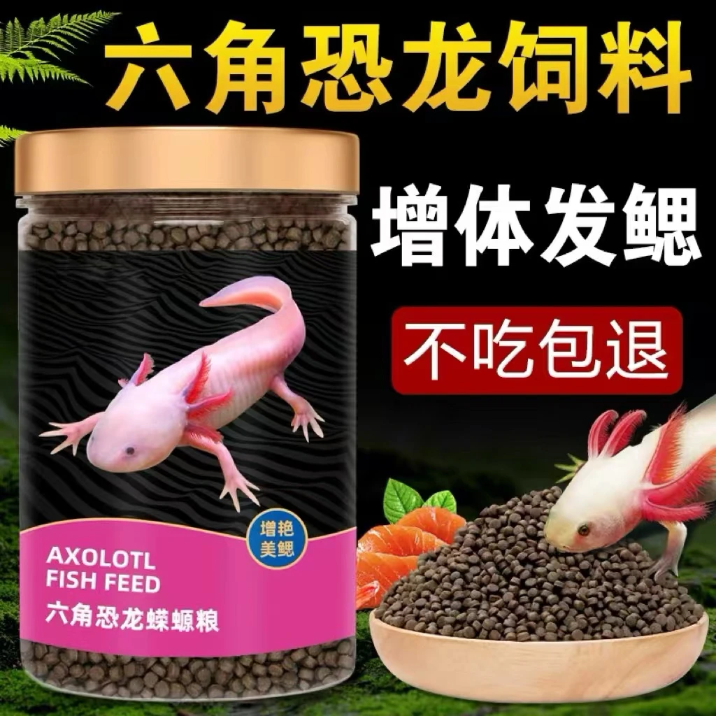 六六专用鱼高蛋白营养恐龙鱼粮鱼食六角恐龙通用观赏鱼饲料娃娃粮