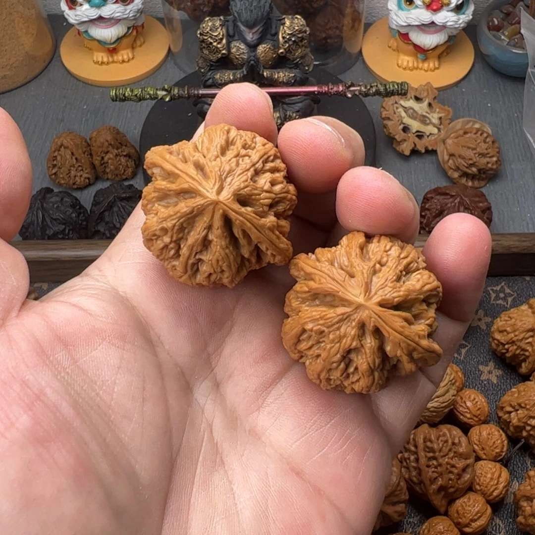 40平谷大粗筋有修