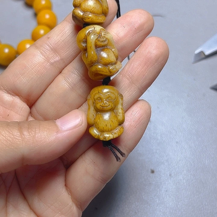 大果紫檀（缅甸花梨）