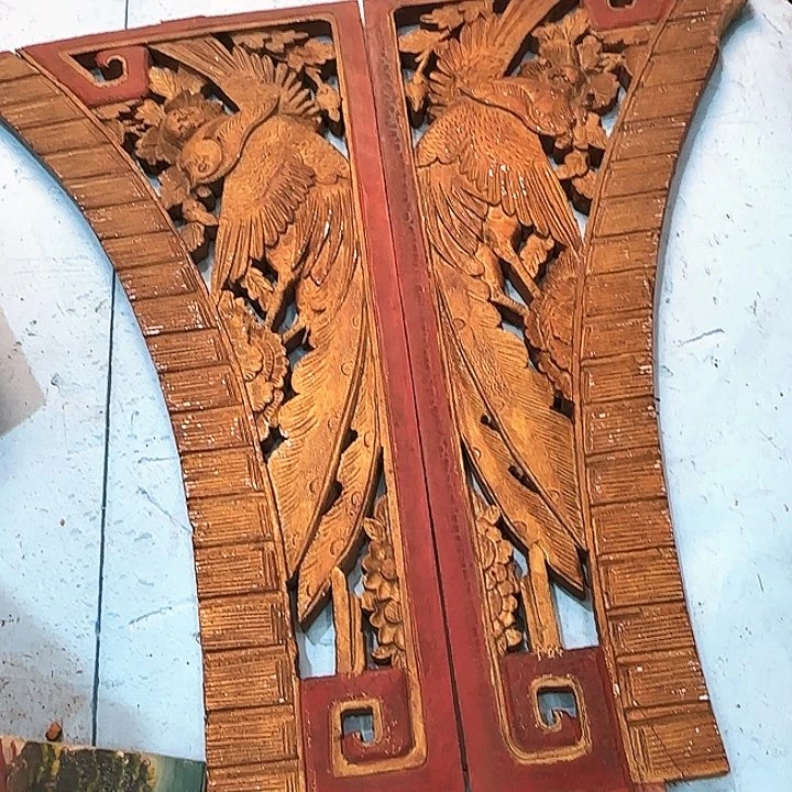 大果紫檀（缅甸花梨）遛****！