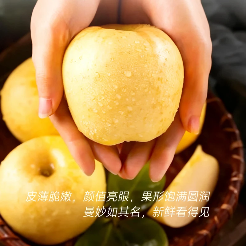 球球有果【特大果发顺丰】维纳斯黄金苹果脆甜多汁现摘新鲜水果包邮