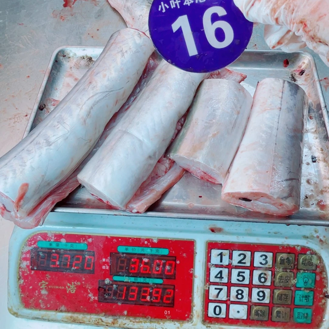 中国大陆野生鳗鱼肉
