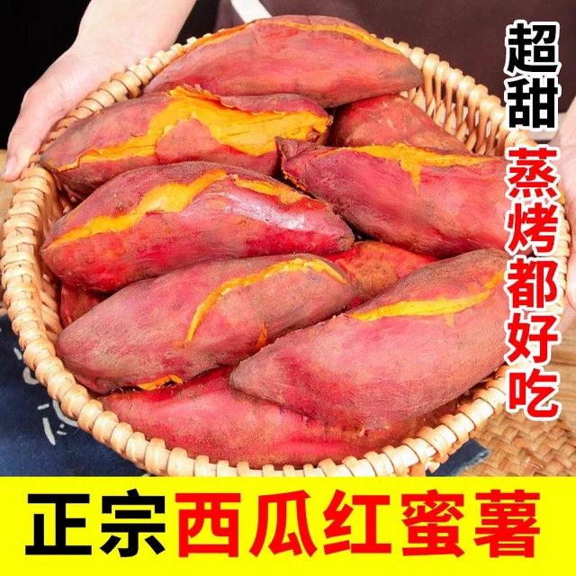 【顺丰包邮】安徽正宗西瓜红薯五斤装