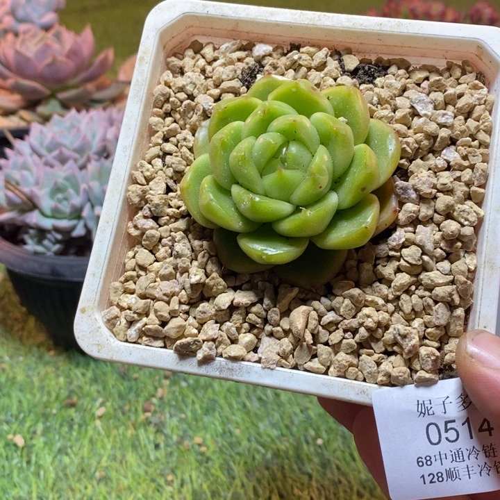 0514啊啊啊啊啊啊啊啊啊啊