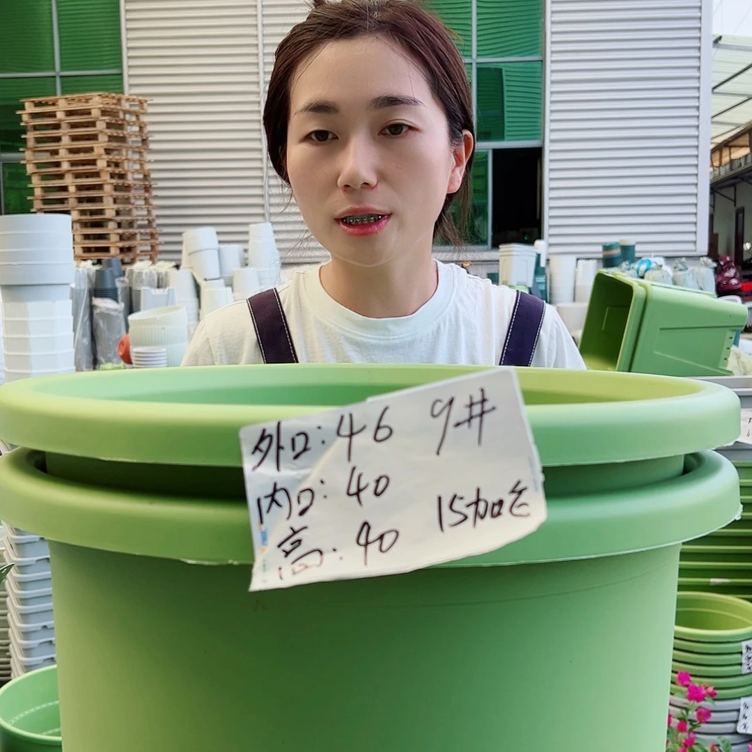 四季盆9#果绿2个无托