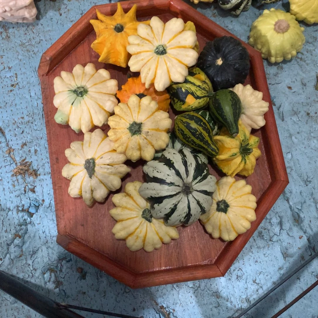 烨**辉墨西哥！墨西哥！墨西哥