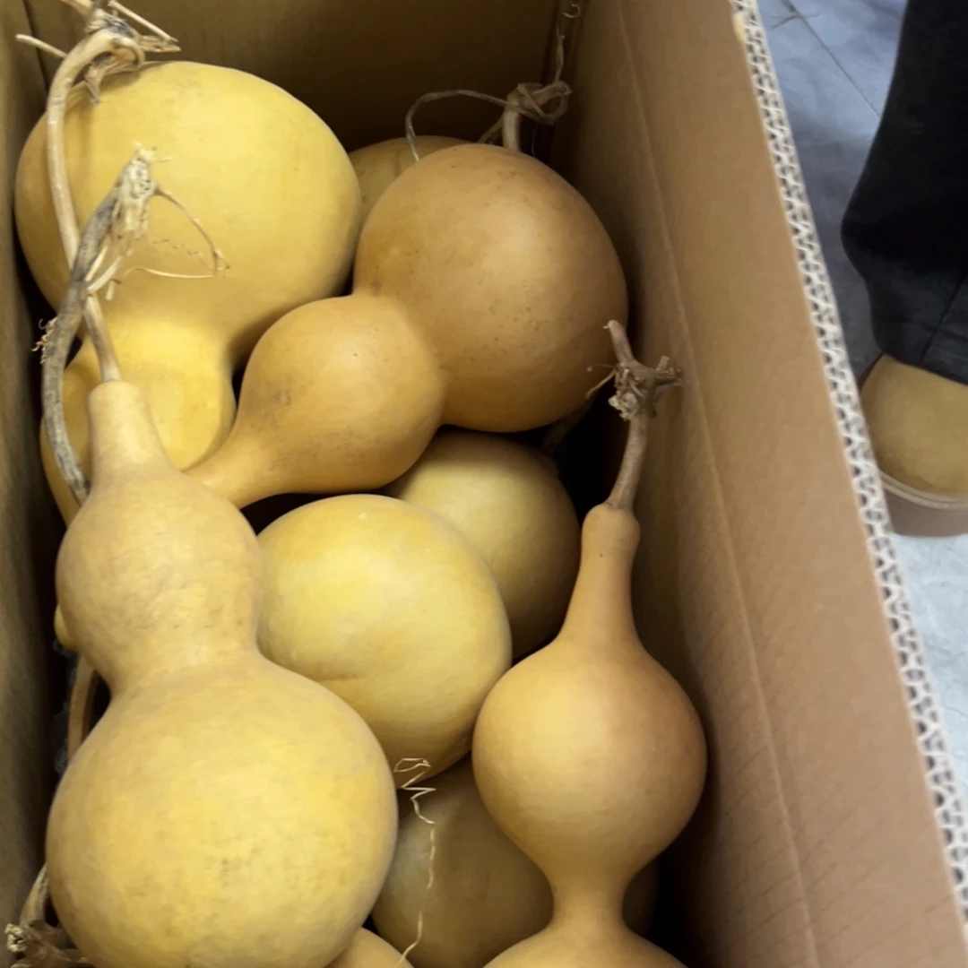 倾***阳有机玻璃葫芦葫芦