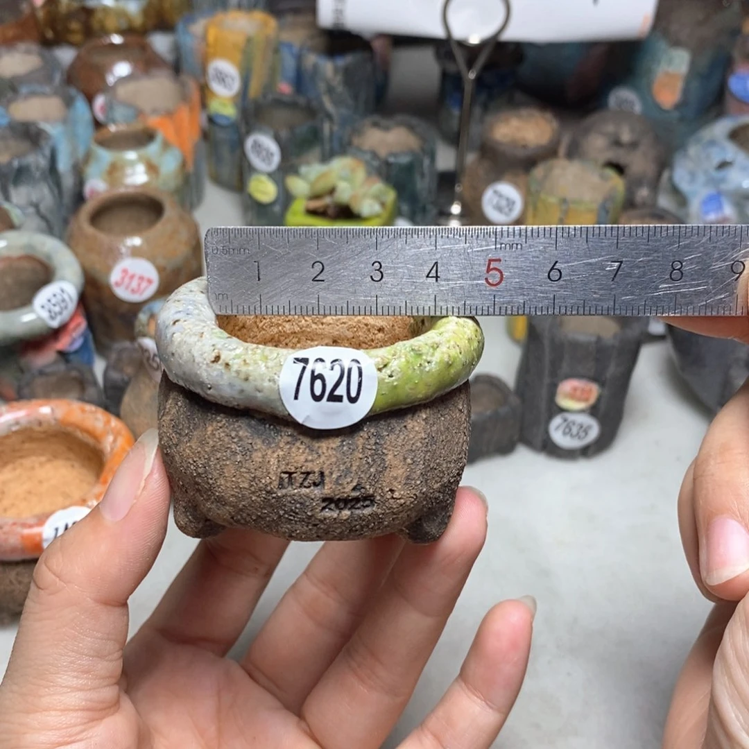 拍3送一个小礼物