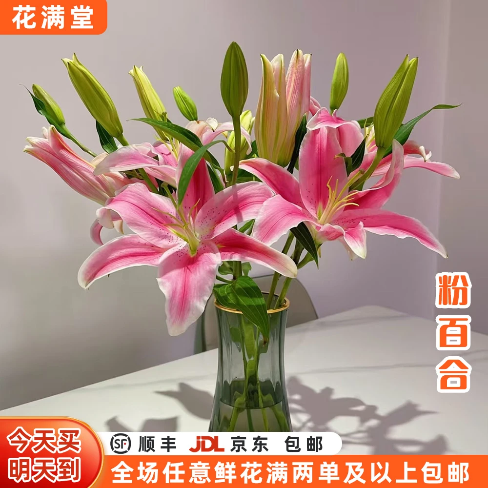 【次日达·仙气渐染】粉百合6-8头鲜切花·全场两单鲜花顺丰包邮·基地直发·鲜切花批发·家居花DIY·粉百合次日达