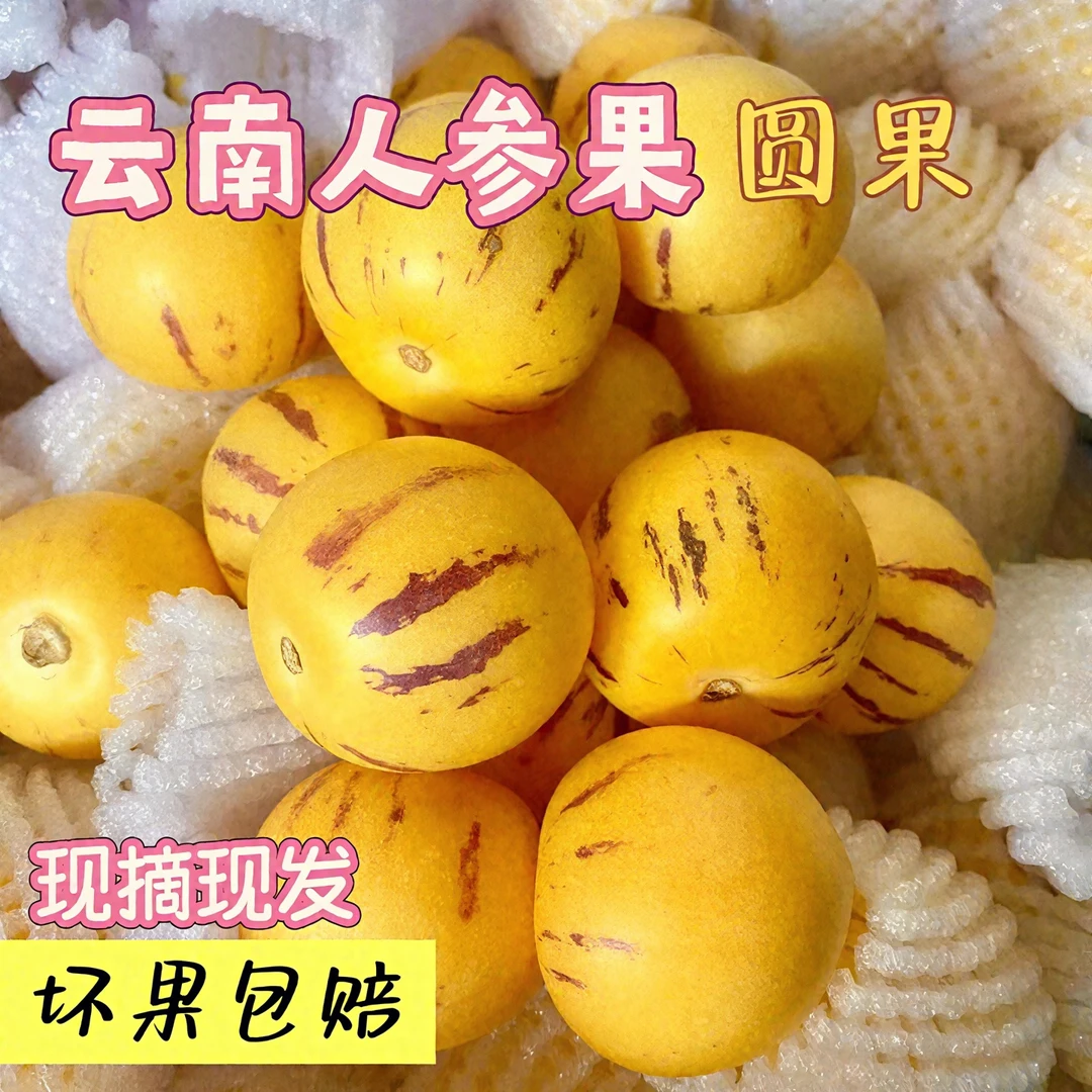 云南人参果新鲜圆果黄肉大果原产地直发树上熟低糖解渴水果