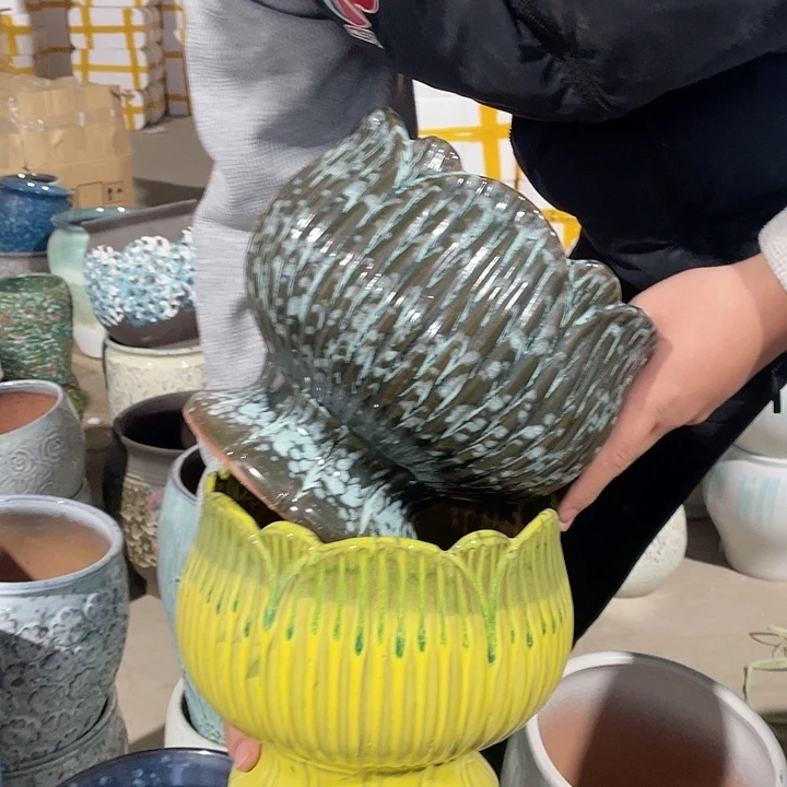 正品两个20/20系列