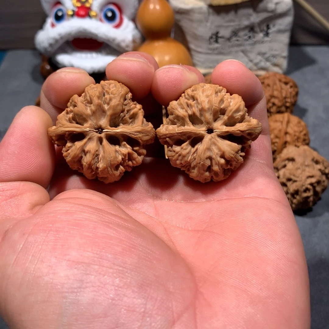 堂***得39尺野牛易县窝底狮子头