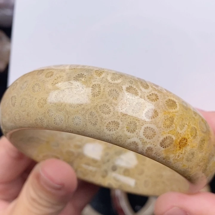 未镶嵌手镯硅化玉62