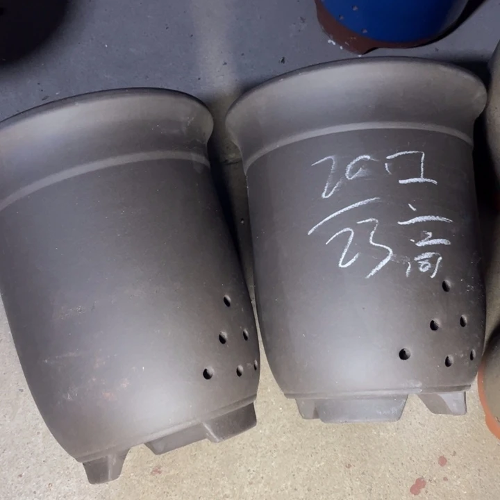 紫砂紫砂紫砂紫砂