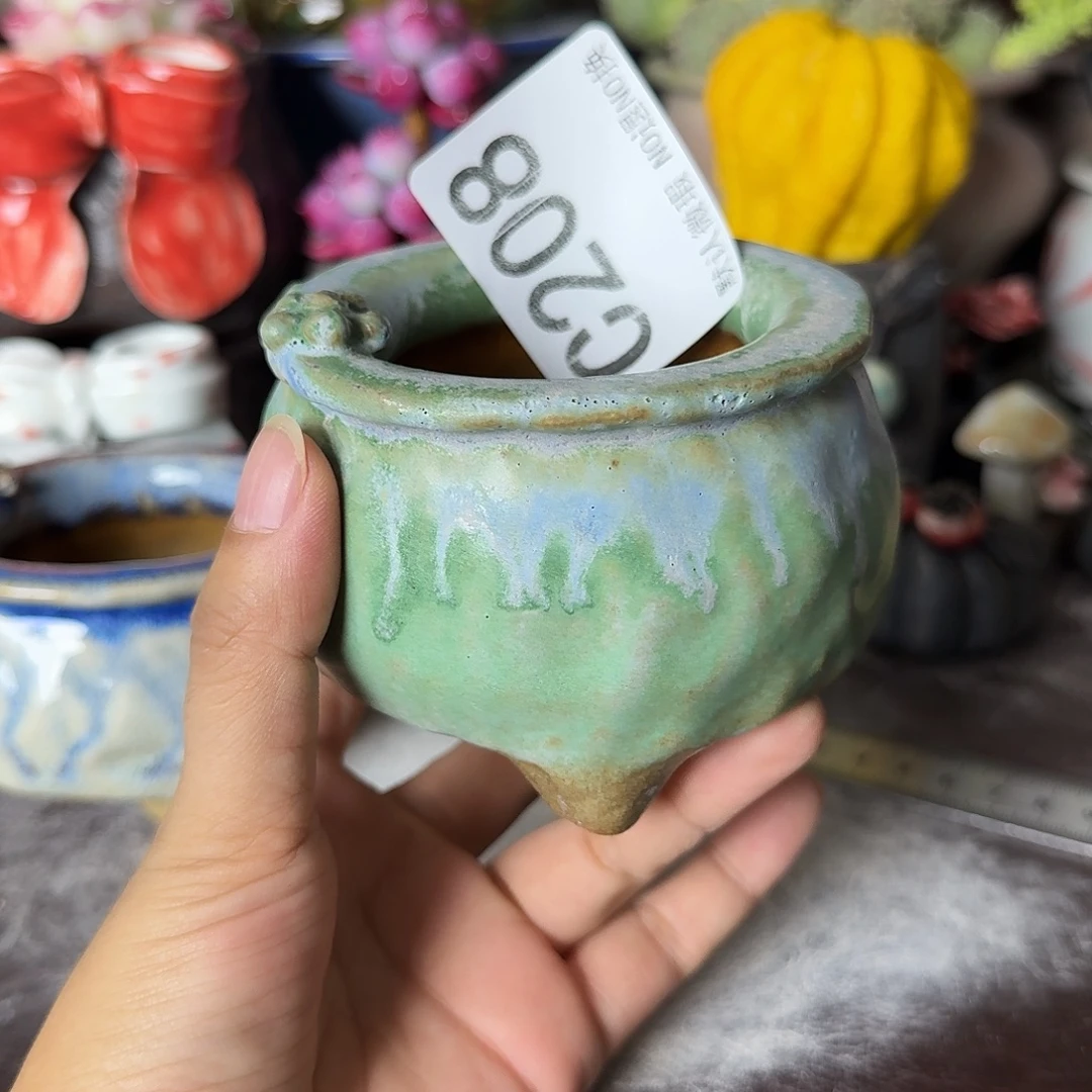重庆小燕子欢迎大家208