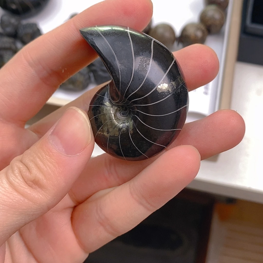 有机玻璃8888888888888