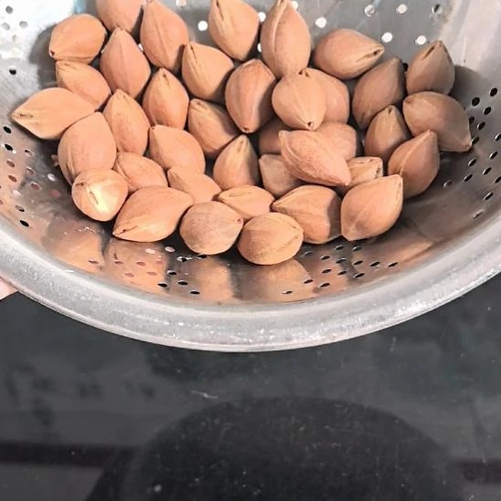 嘚***嘚吊坠龙脊菩提小红核