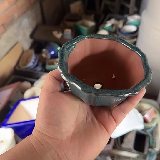 你说了就可以咯吧不要想的不行