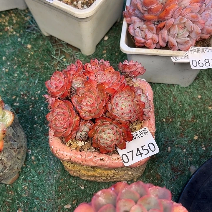 幸运的是我还没遇到过