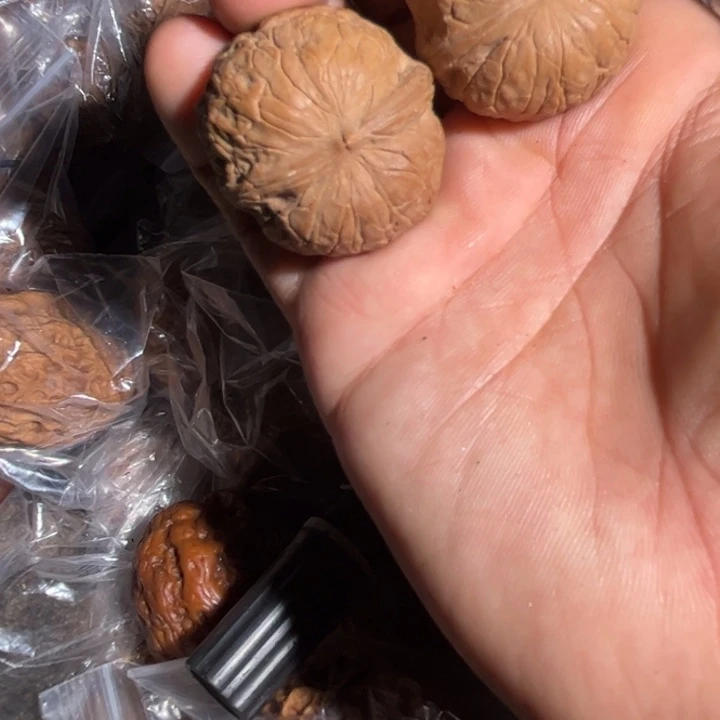文玩核桃吊坠滇西24