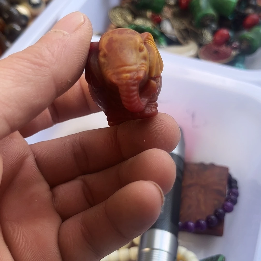 大果紫檀（缅甸花梨）