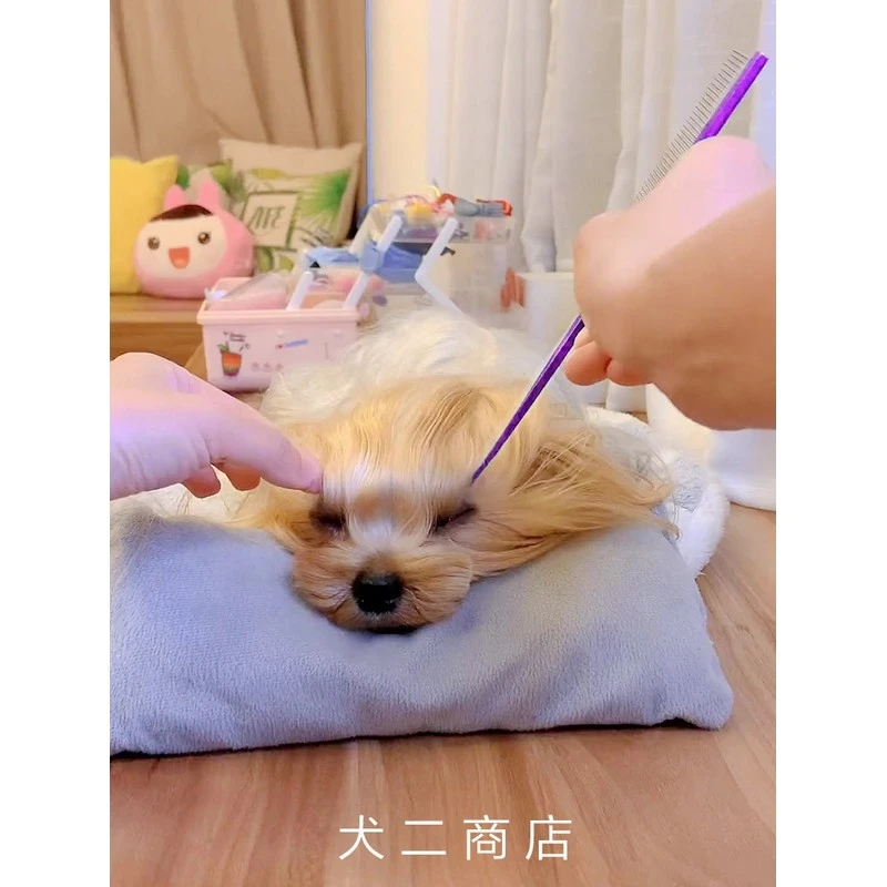 专业宠物尖尾梳边界梳脸梳排梳狗辫梳发分布美容造型梳