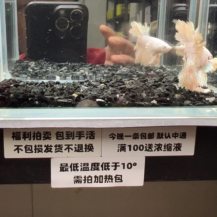 斗鱼跑单拉黑3日23