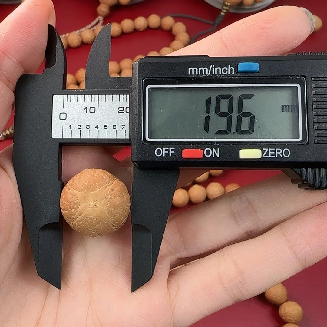 凤眼菩提手串25年新籽尼泊尔凤眼菩提麒麟眼单颗