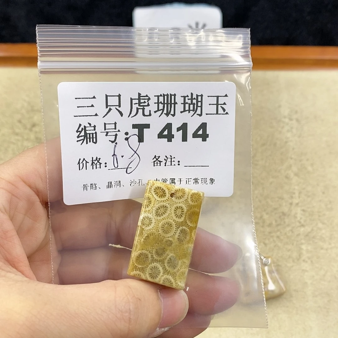 硅化珊瑚（珊瑚玉）1未镶嵌飘