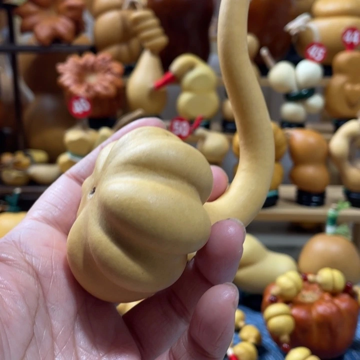 逗***玩10美好的一天从早上开始吧