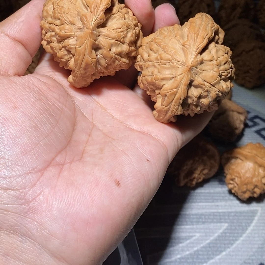 文玩核桃把件026龙鼎全品57+尺头货对