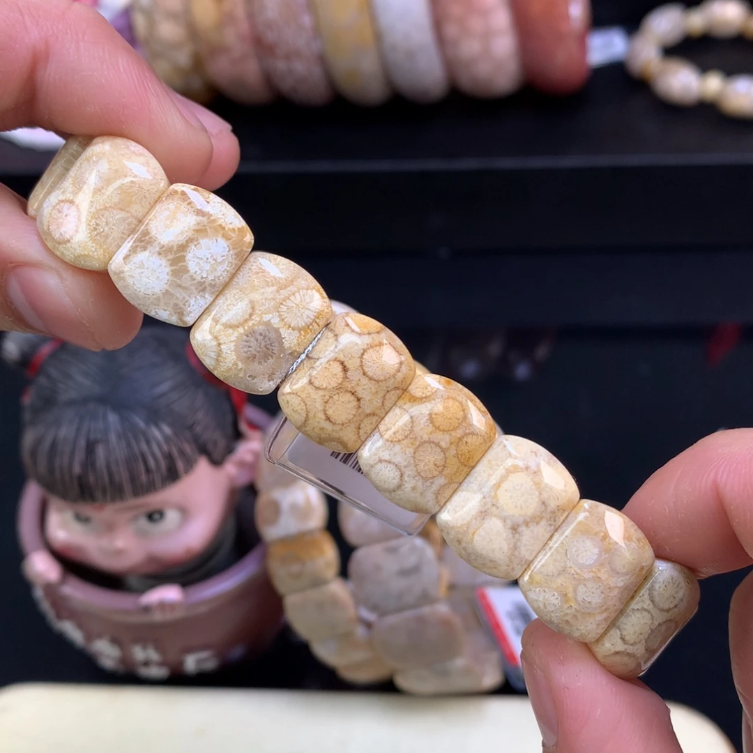 硅化珊瑚（珊瑚玉）未镶嵌颈饰18号金豹纹