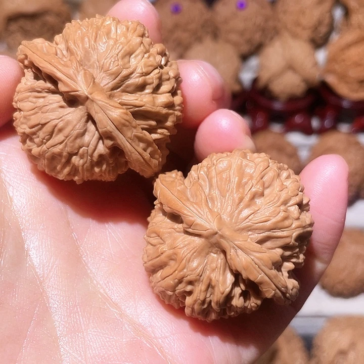 把件文玩核桃全品白狮子40尺放漏款