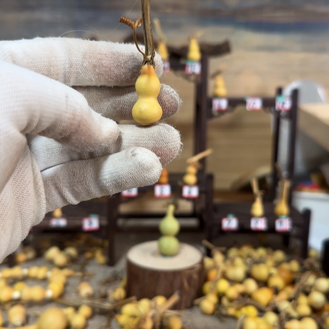 大***大打孔不退不换！秒拍秒退拉黑！