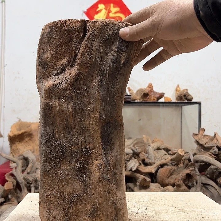 柏木神****？我们的生活也是